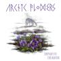 Image: Arctic Flowers - Straight to the Hunter