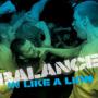Image: Balance - In Like A Lion