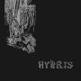Image: Hybris - Discography