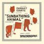 Image: Parquet Courts - Sunbathing Animal