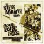 Image: Sonic Avenues / Steve Adamyk Band - European Tour 2011 Split Ep