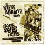 Image: Sonic Avenues, Steve Adamyk Band - European Tour 2011 Split Ep