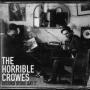 Image: The Horrible Crowes - Record Store Day 7"
